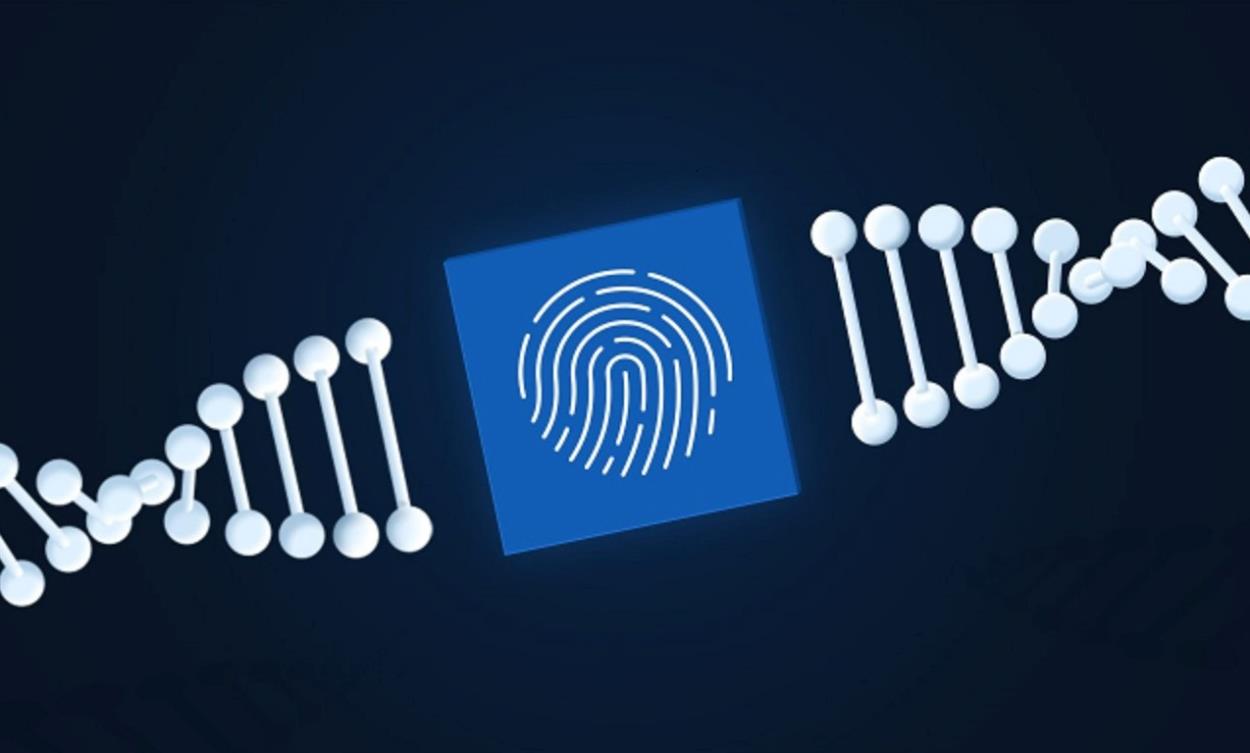 How To Use Personalized Marketing Campaigns To Target Your Audience