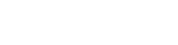 Mint Zebra logo